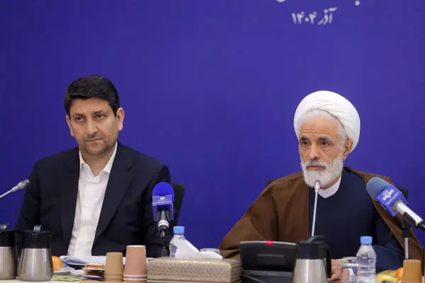 انصاری: پاسخگویی انسانی به موضوعات حقوقی نمی‌تواند با هوش مصنوعی جایگزین شود 