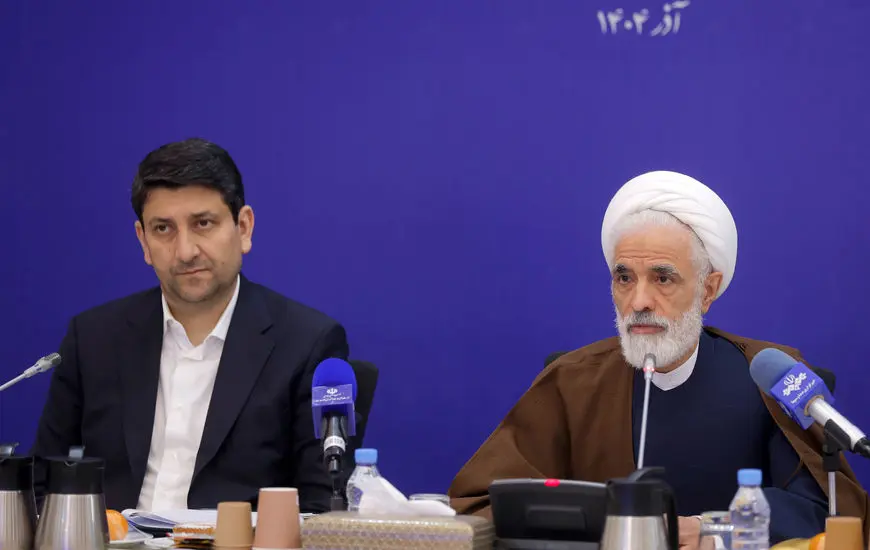 انصاری: پاسخگویی انسانی به موضوعات حقوقی نمی‌تواند با هوش مصنوعی جایگزین شود 